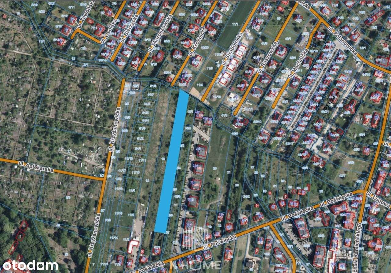 działka 5513m2 dla inwestora/Poświętne - Pełny obrazek: 5/8