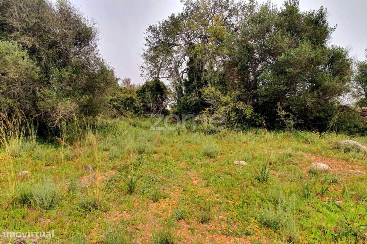 Terreno com viabilidade de Construção em Messines - Grande imagem: 4/18