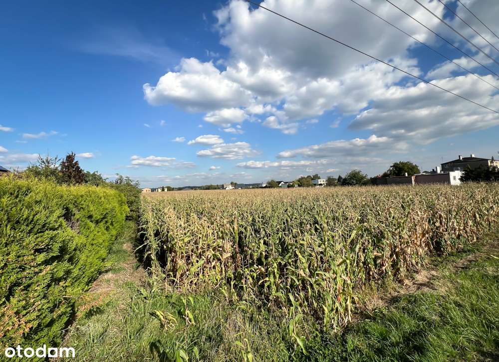Dla inwestora! 4 działki budowlane, domy z usługami-łączna pow. 4717m2-3