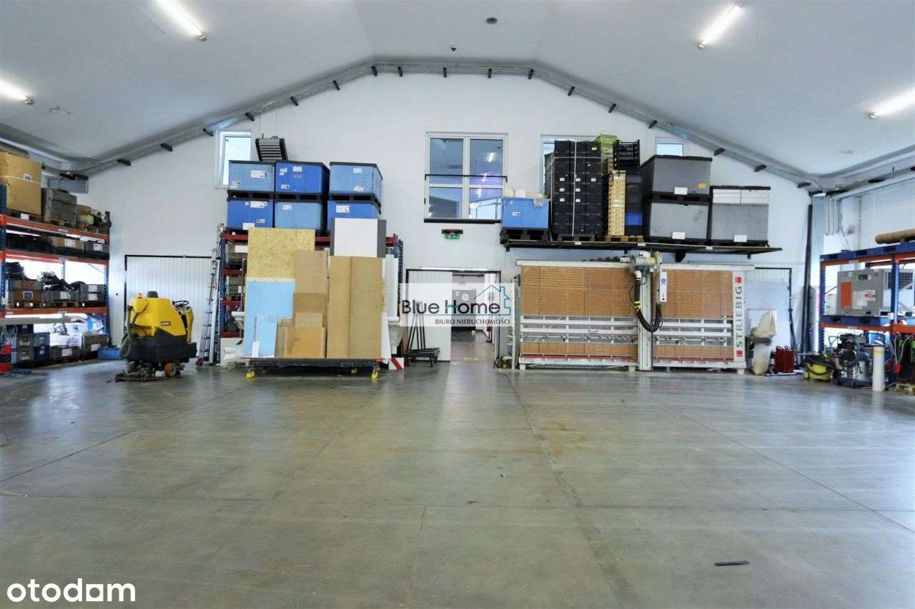 Na Wynajem Dwie Hale + Plac Manewrowy w Pigży - Pełny obrazek: 4/14