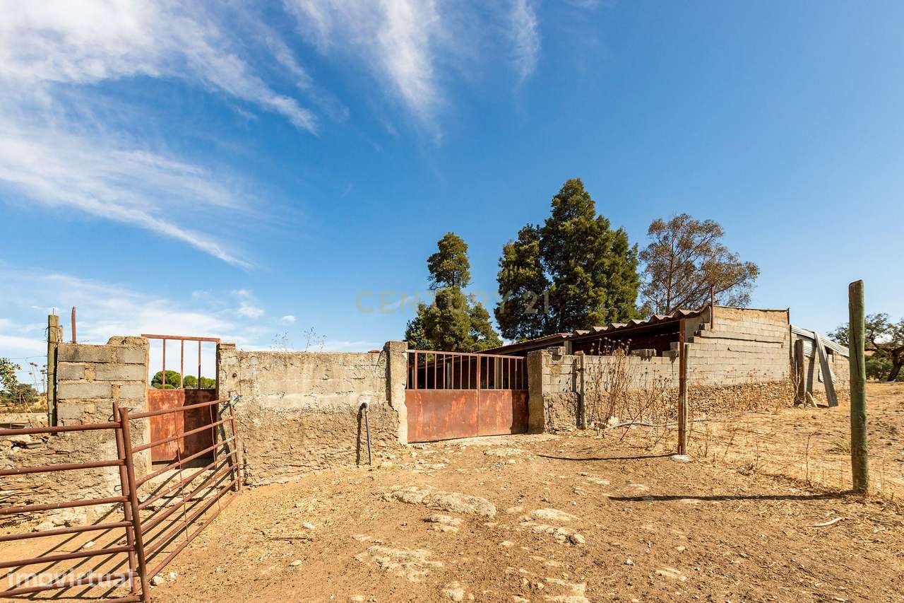 Monte Alentejano com 45 Hectares e Infraestruturas Agrícolas-16