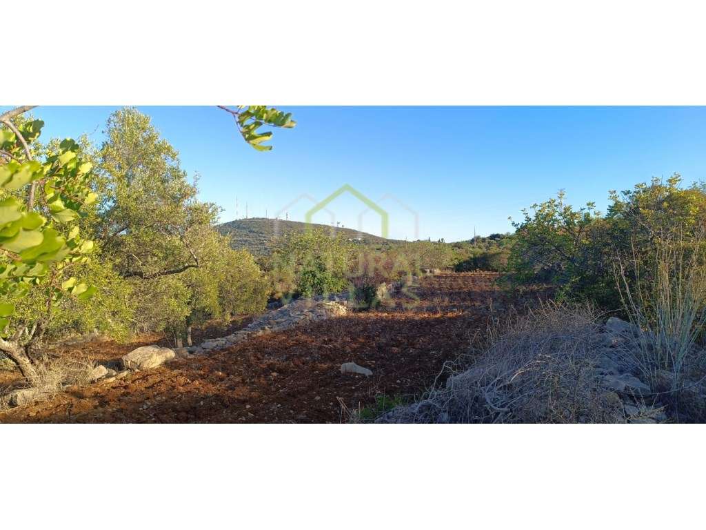Terreno Rústico em Azinheiro, Estoi - Grande imagem: 5/5