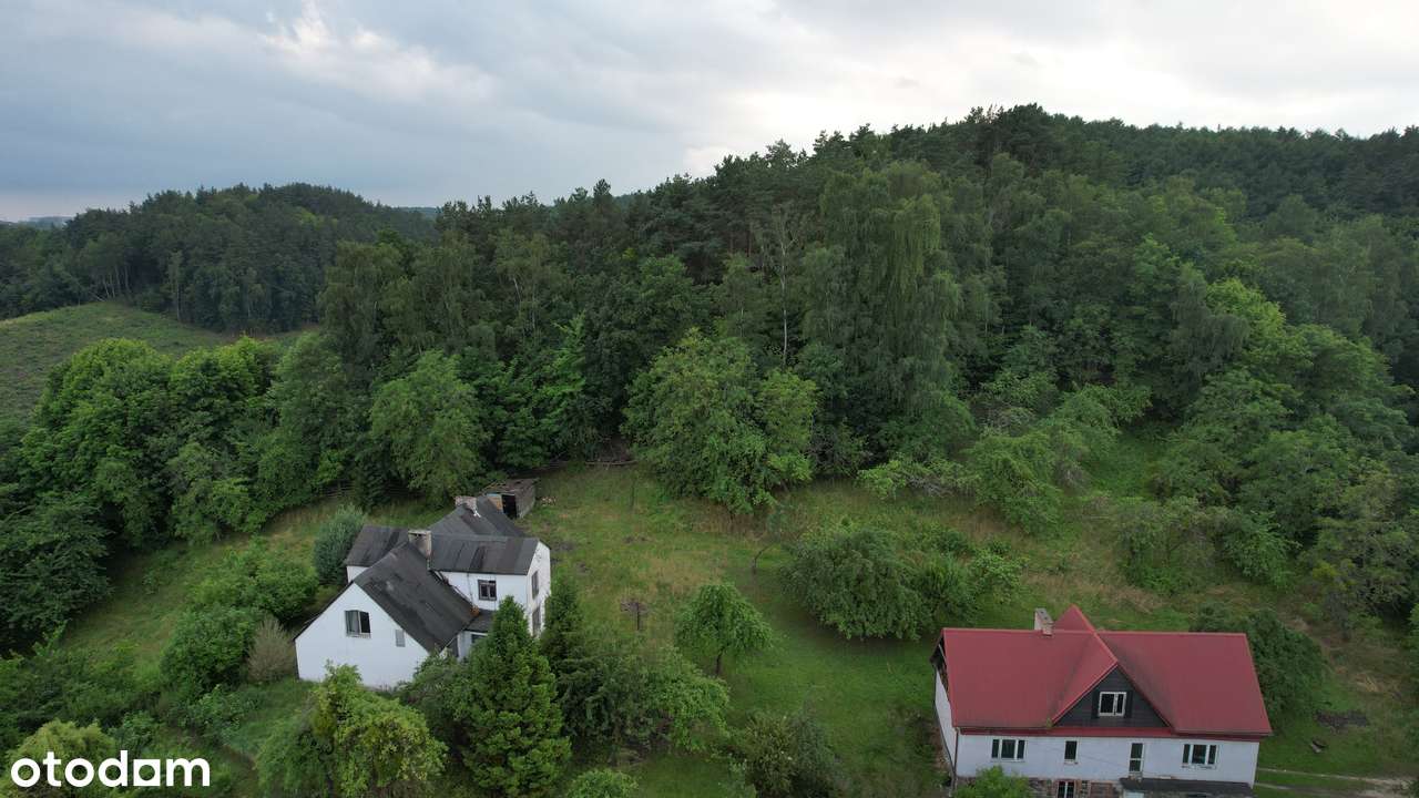 Działka przy lesie i z widokiem na morze Gdańsk Niedźwiednik 3686 m2 - Pełny obrazek: 5/9