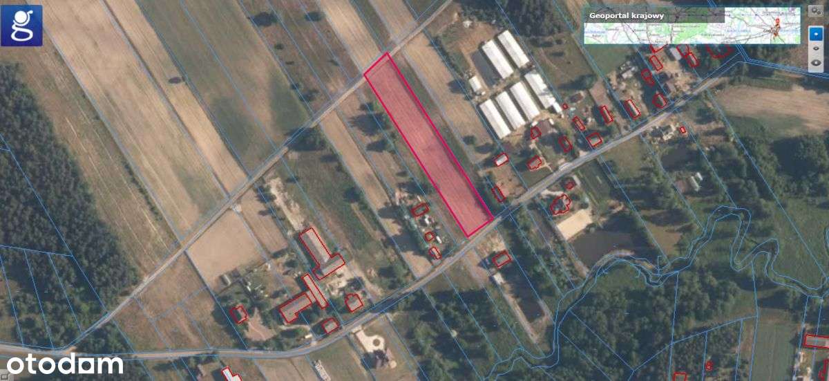 Działka Rolno-Budowlana Podkonice Miejskie 3938 M2 - Pełny obrazek: 5/7