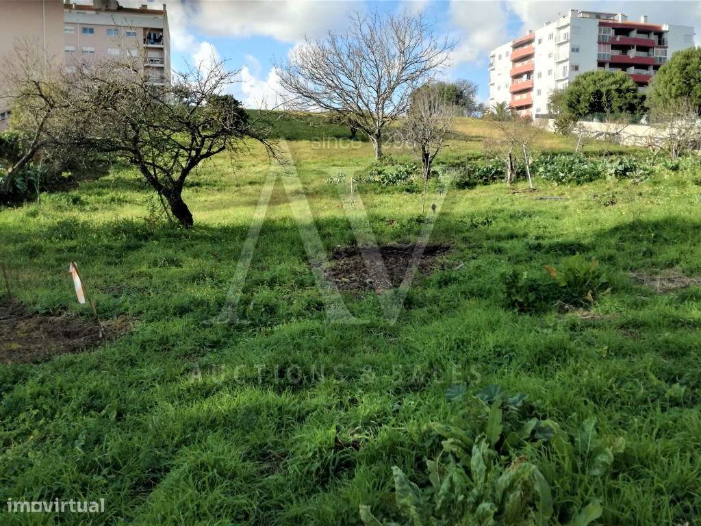 Lote de Terreno para Construção - Calçada do Bravo - Leiria - Grande imagem: 3/8