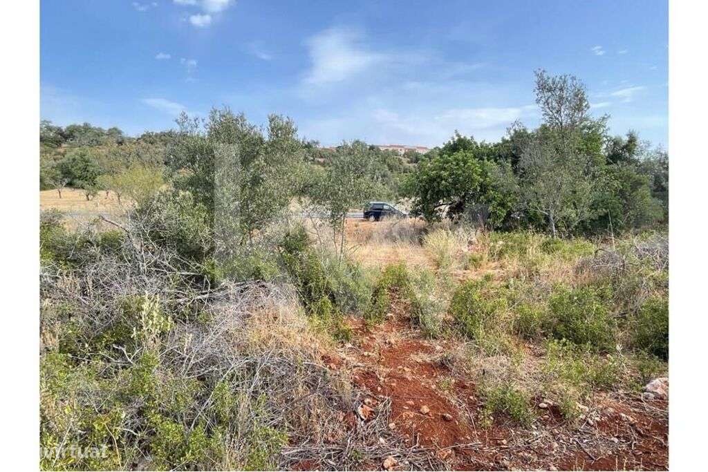 Terreno Rústico Silves - Grande imagem: 2/15