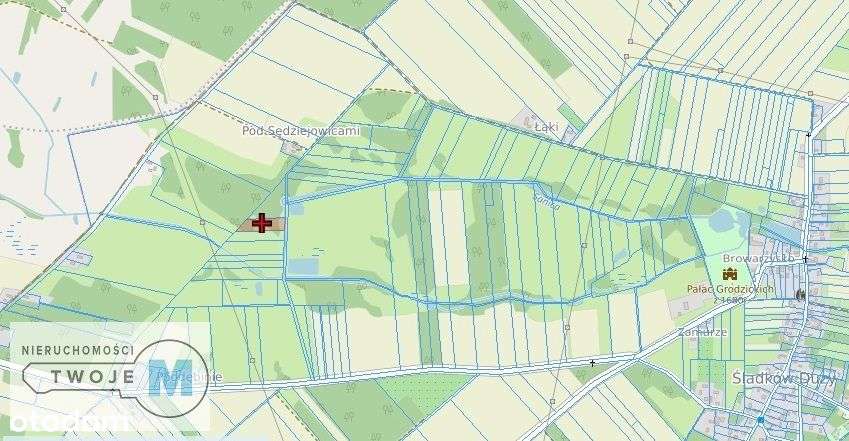 Działki rolne z lasem w Śladkowie Dużym - Pełny obrazek: 2/13