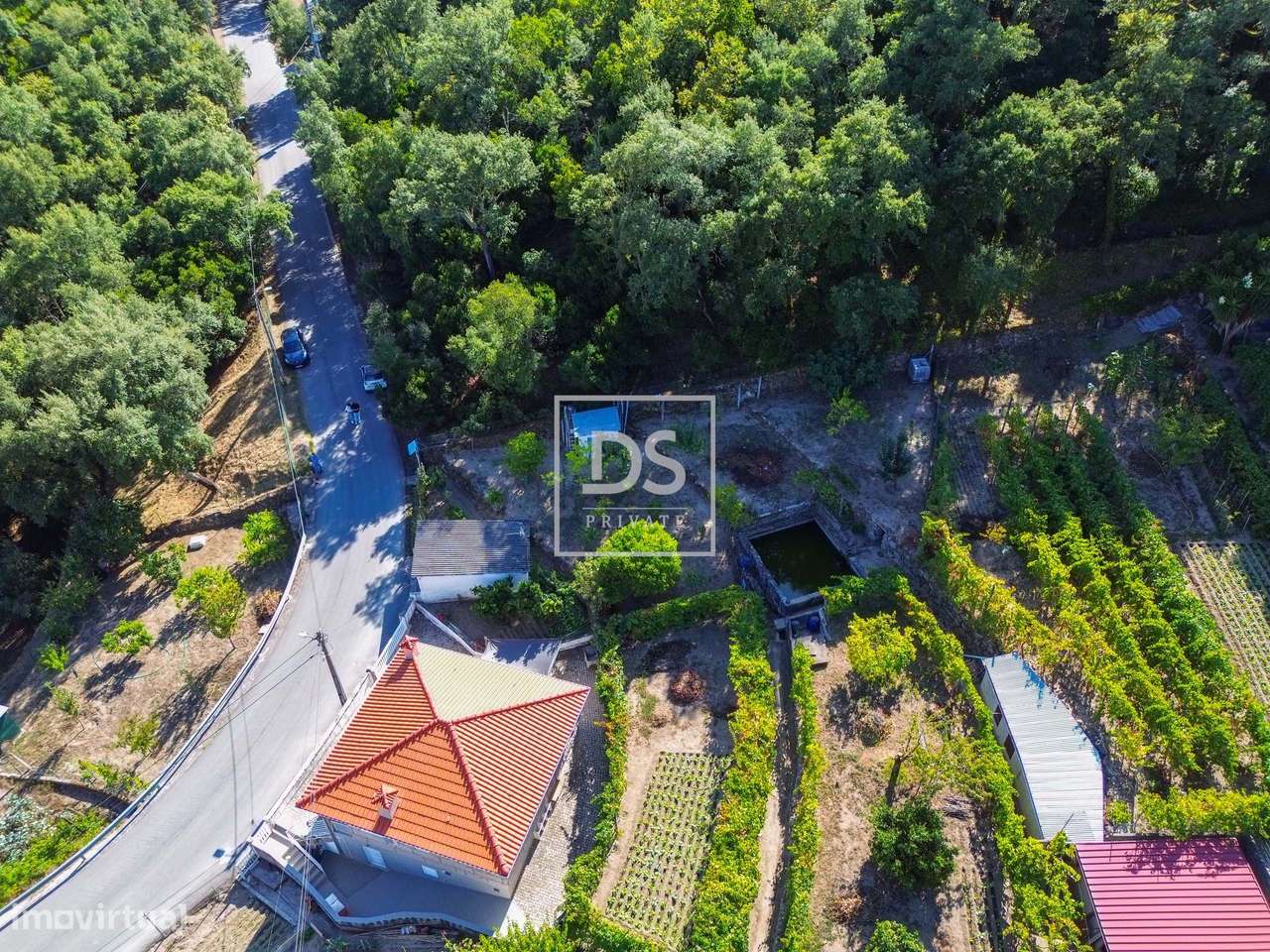 Terreno em Santa Cruz do Douro - Grande imagem: 4/13