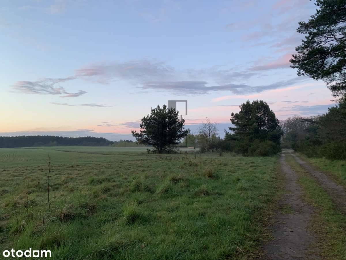 Niedaleko morze - Łeba | Top działka | Potencjał - Pełny obrazek: 5/14