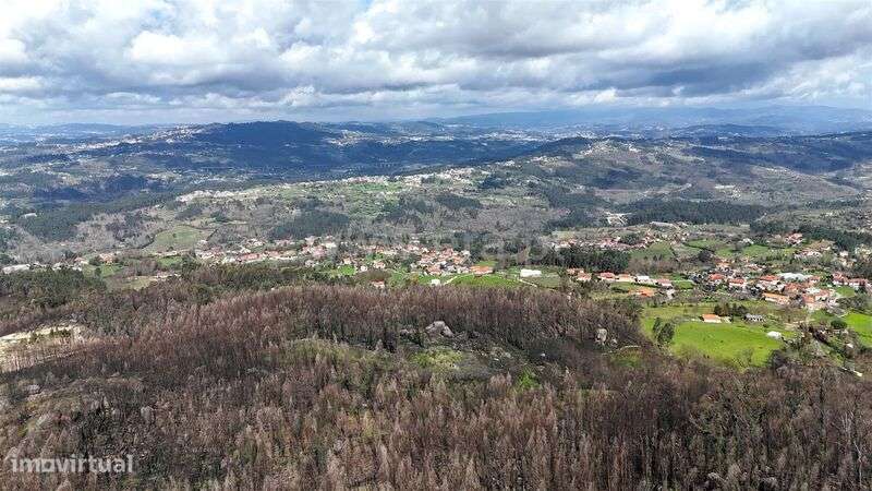 Terreno / Marco de Canaveses, Várzea, Aliviada e Folhada - Grande imagem: 5/14