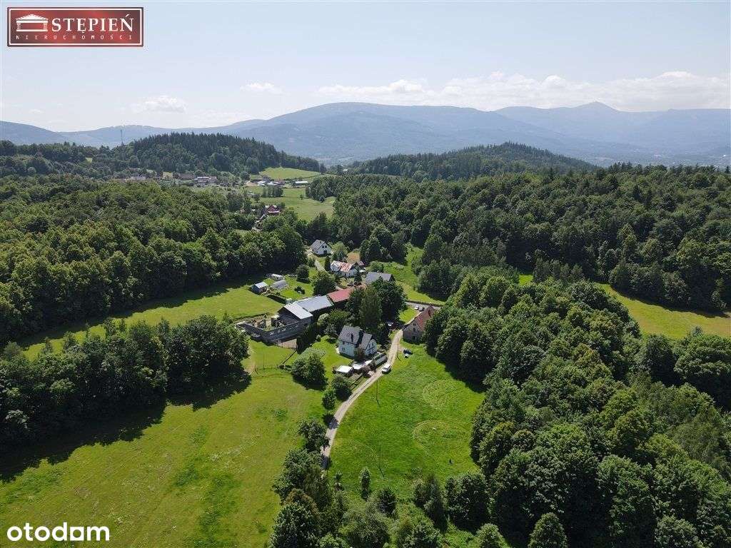 Działka budowlana 4585 m² – Bukowiec - Pełny obrazek: 4/8