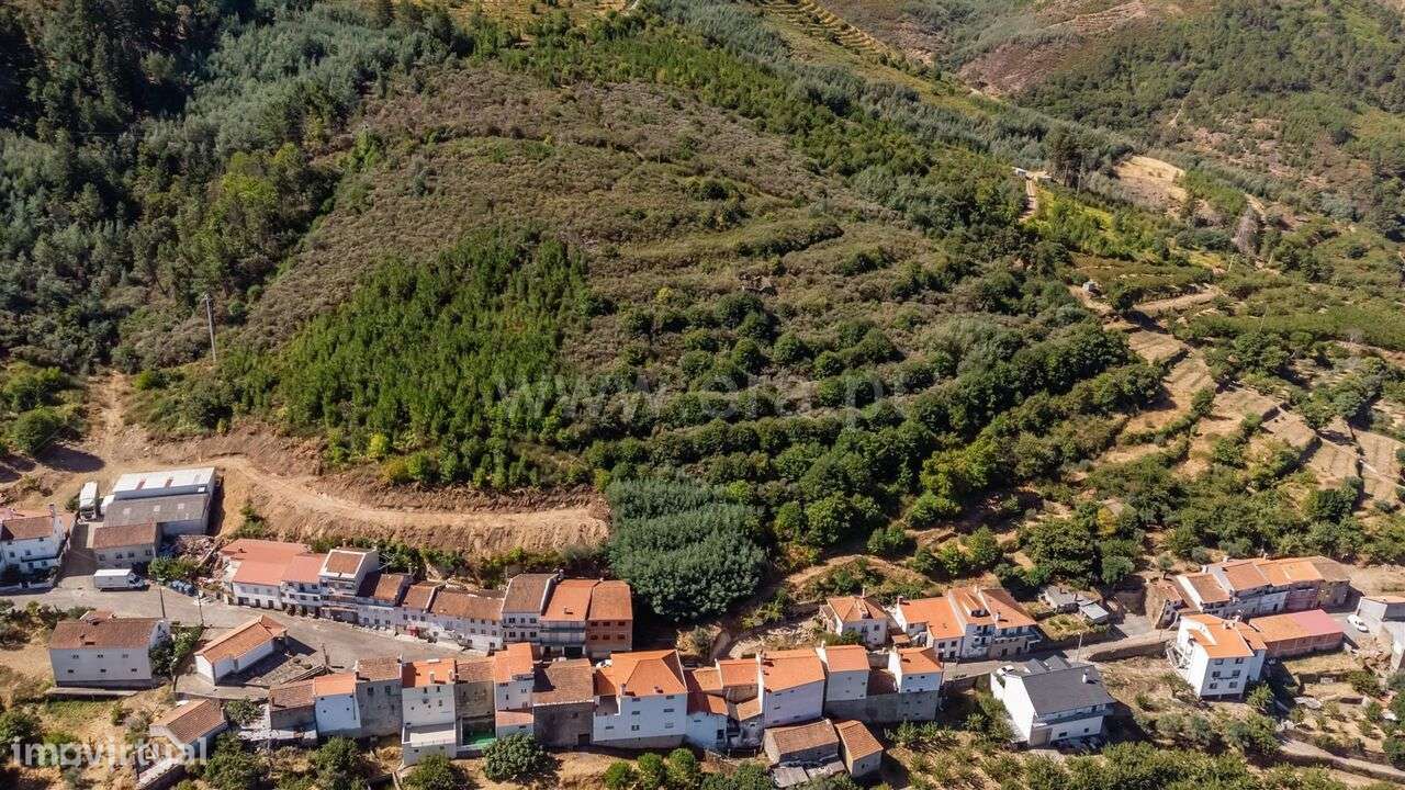 Quinta Estudio Fundao Alcongosta