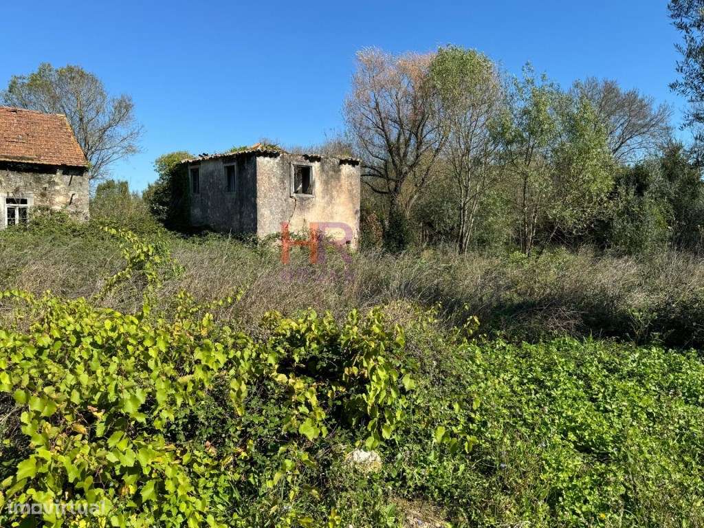 Vende-se Terreno com casas em ruina com 8000m2-9