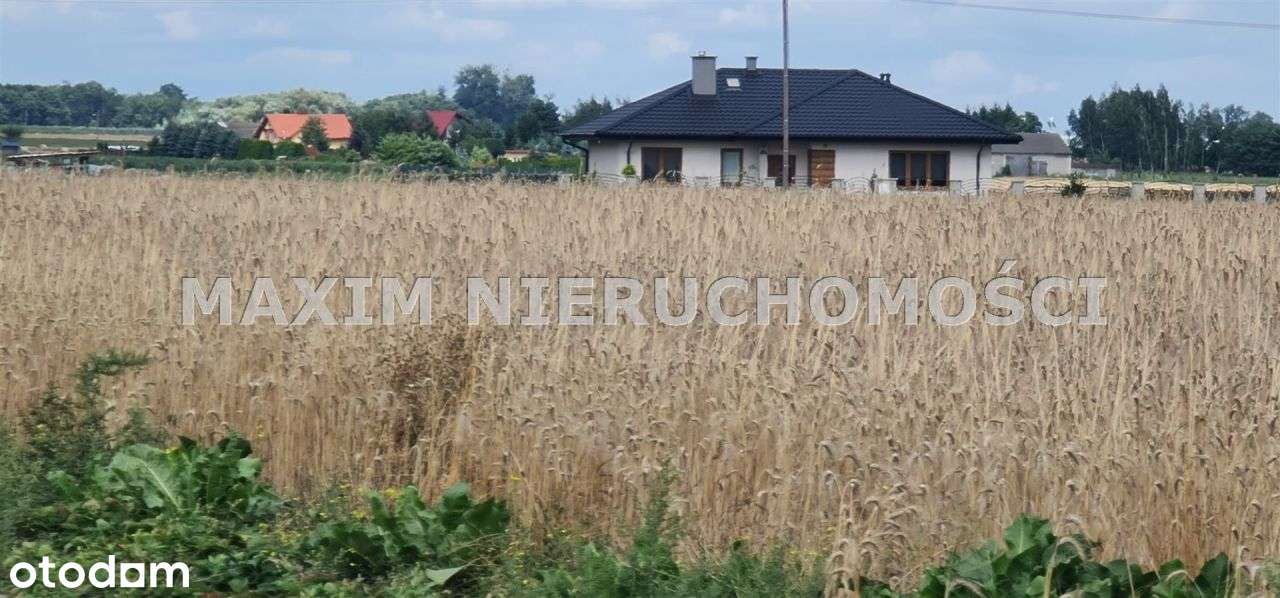 Piękne działki w Januszewie gm. Naruszewo - Pełny obrazek: 2/10