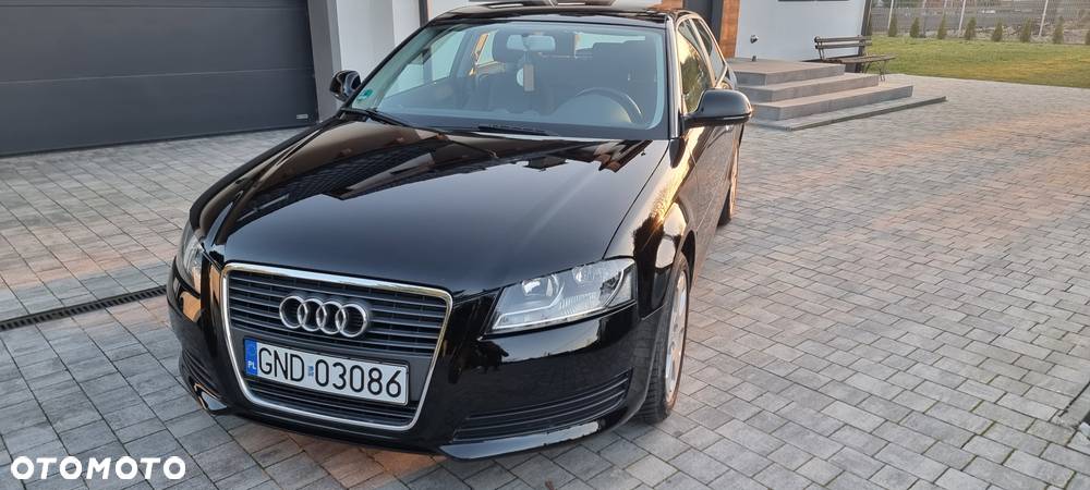 Audi A3 1.6 Ambition - 23