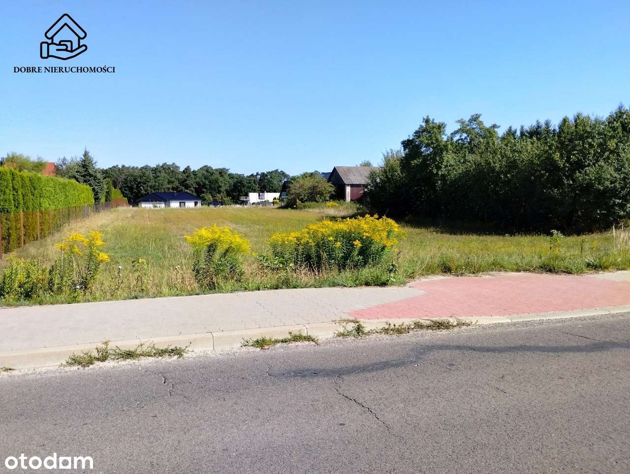 19a działka budowlana blisko lasu - Prawiedniki - Pełny obrazek: 3/4