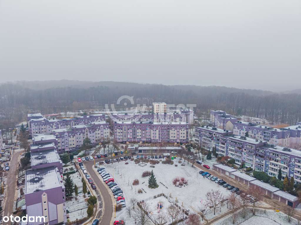 3 pokoje z widokiem na Jezioro Dąbie, przy lesie-14