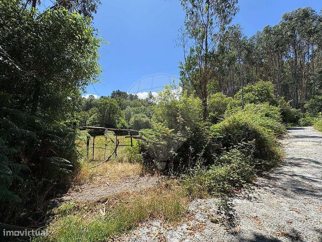 Terreno  para venda - Grande imagem: 5/16