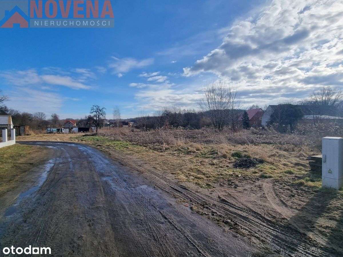 Wilkowa, działka budowlana. Wieś otoczona lasami.-8