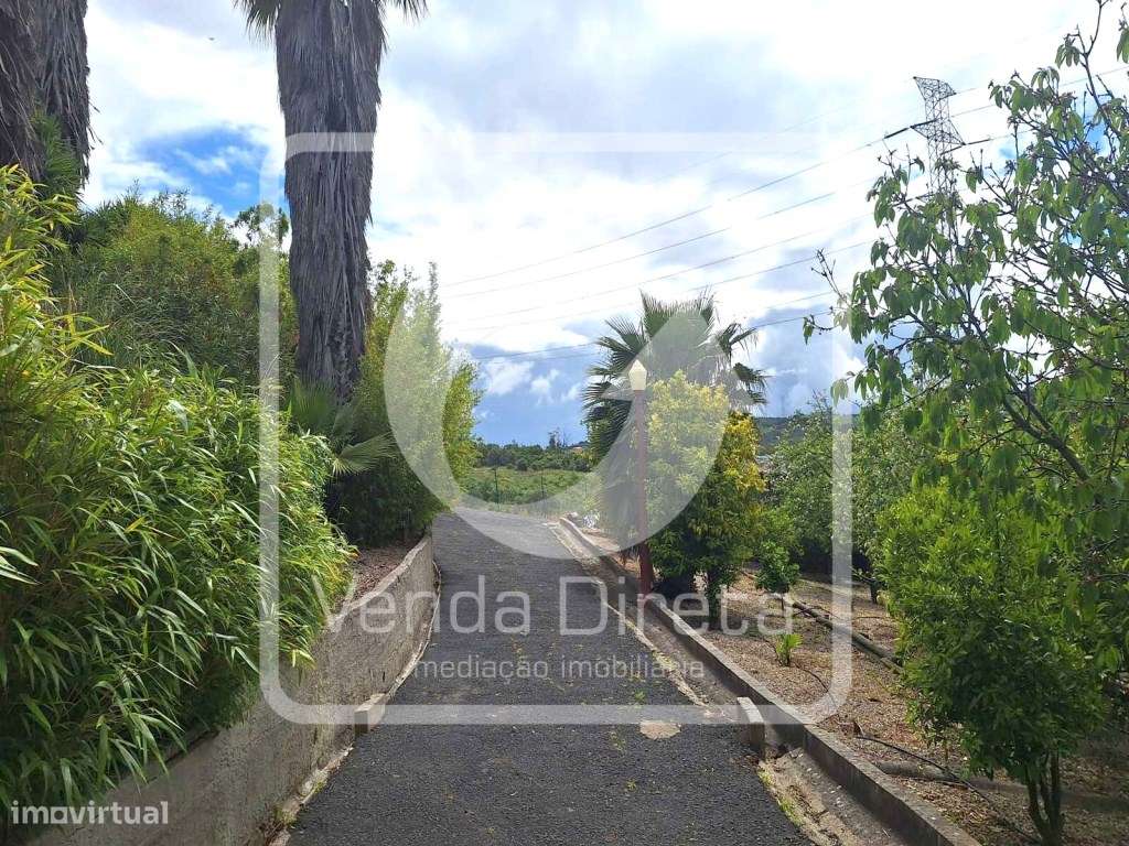 Moradia V6 com anexo T2 com terreno de 7.480 m2 em Arruda dos Vinho...-28