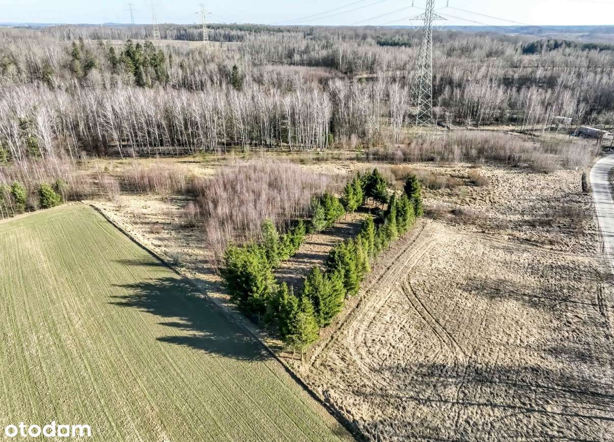 Działka budowlana 1503 m² w spokojnej okolicy-3