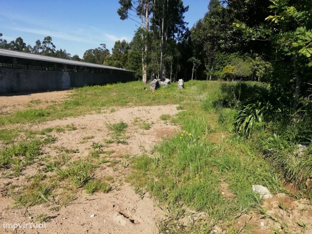 Venda de Terreno em São João de Ver