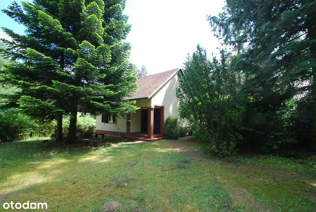 Urokliwy domek w środku lasu - Moczydło - Pełny obrazek: 4/17