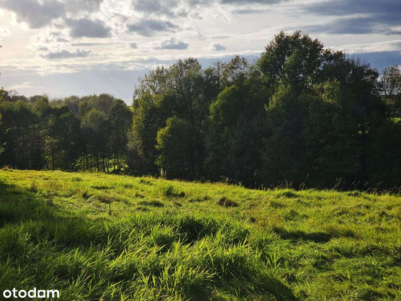 Malownicza działka budowlano-rolna w zacisznym mie - Pełny obrazek: 5/9