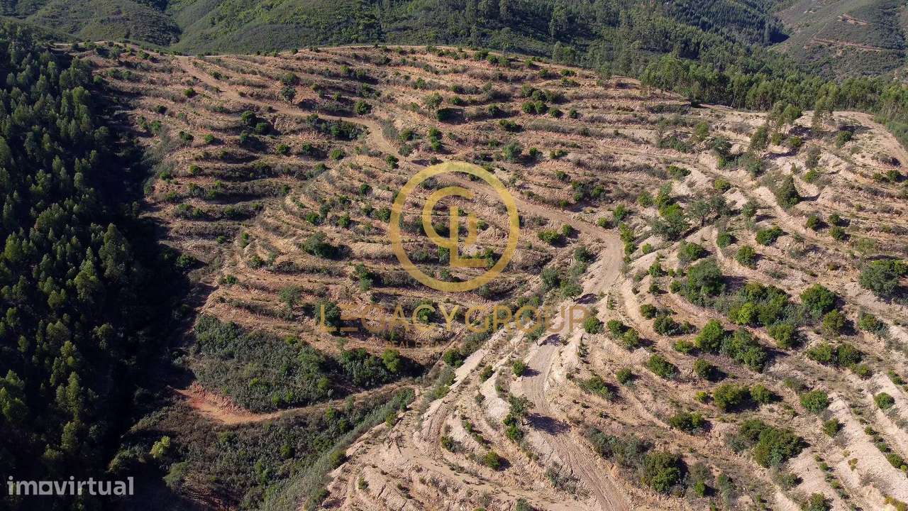 Propriedade de 10 hectares perto da barragem de Odelouca-27