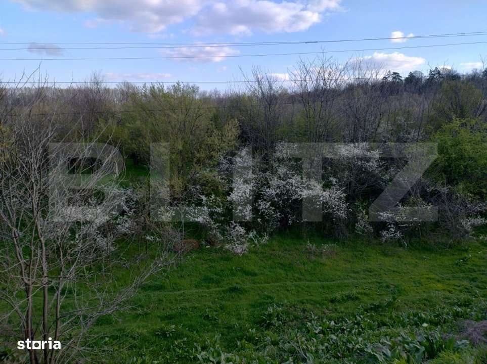 Teren padure 10 ha, extravilan, 400 ml deschidere, stradal, zona Breas - Imagine principală: 2/3
