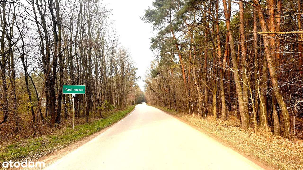 Działka i 1,73ha , 50m szer, Paulinowo-3