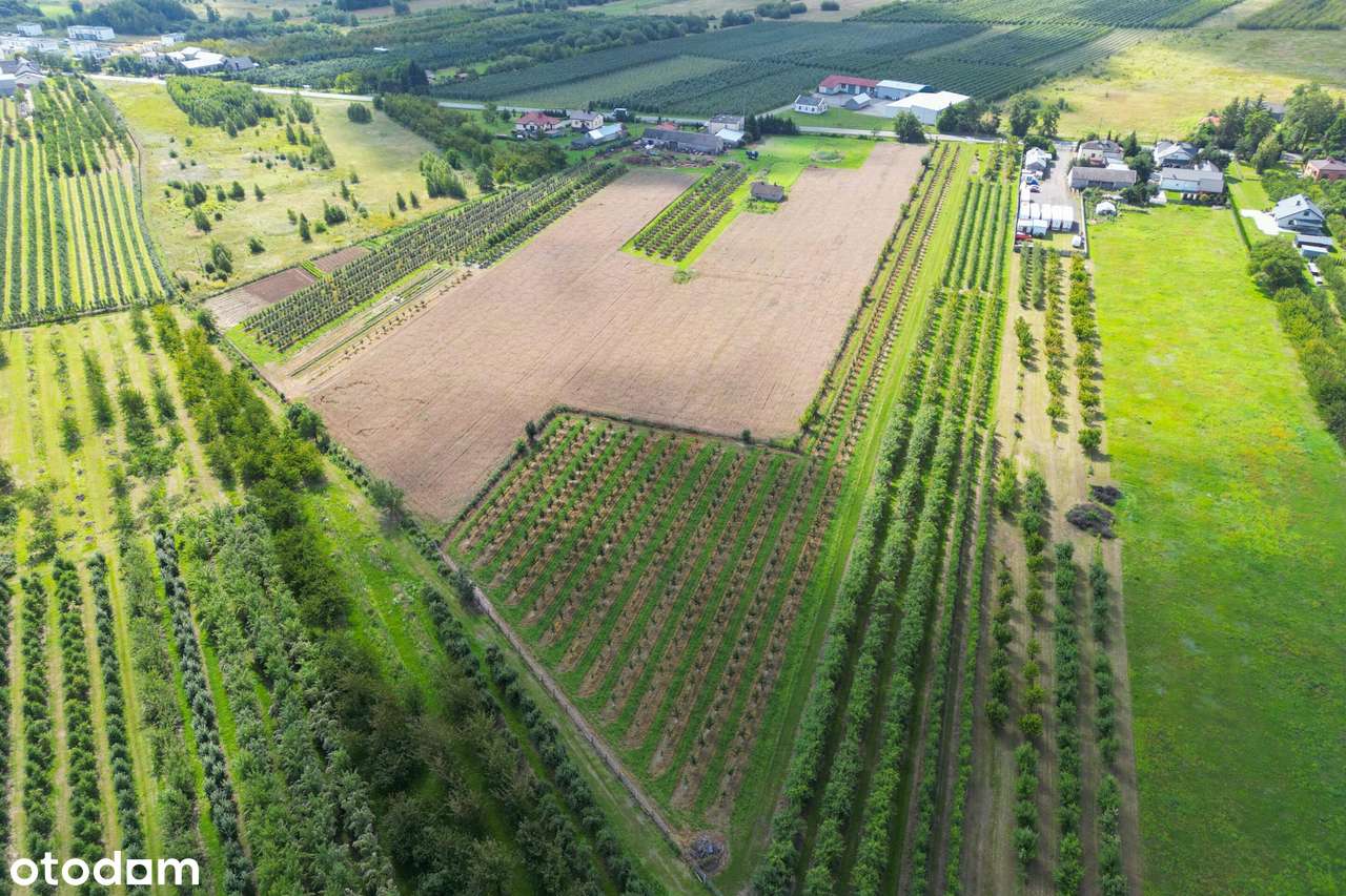 Gospodarstwo z potencjałem inwestycyjnym - Pełny obrazek: 5/12