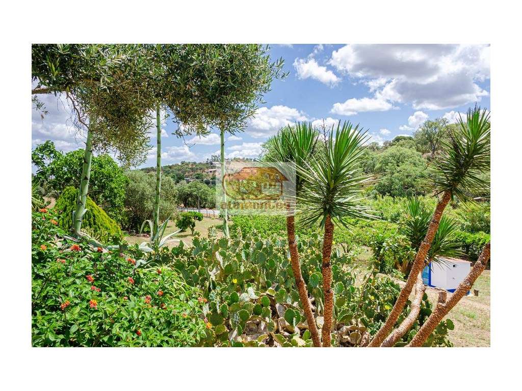 Monte Alentejano com 3 casas na Serra de Grândola!-22