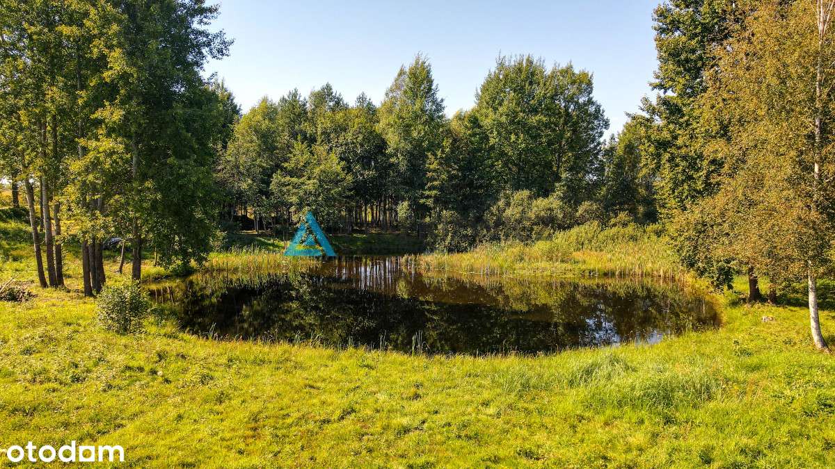 Własny staw i las - piękna działka budowlana - Pełny obrazek: 5/20