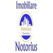 Notorius Imobiliare Siglă