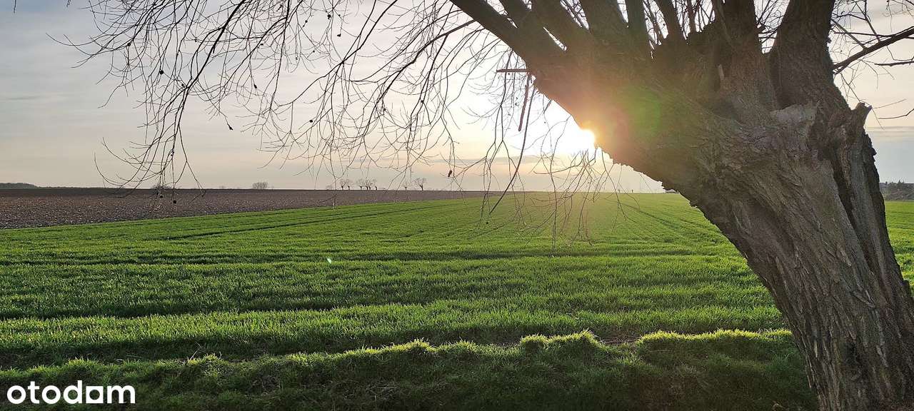 Chomęcice piękna działka CISZA I SPOKÓJ-8