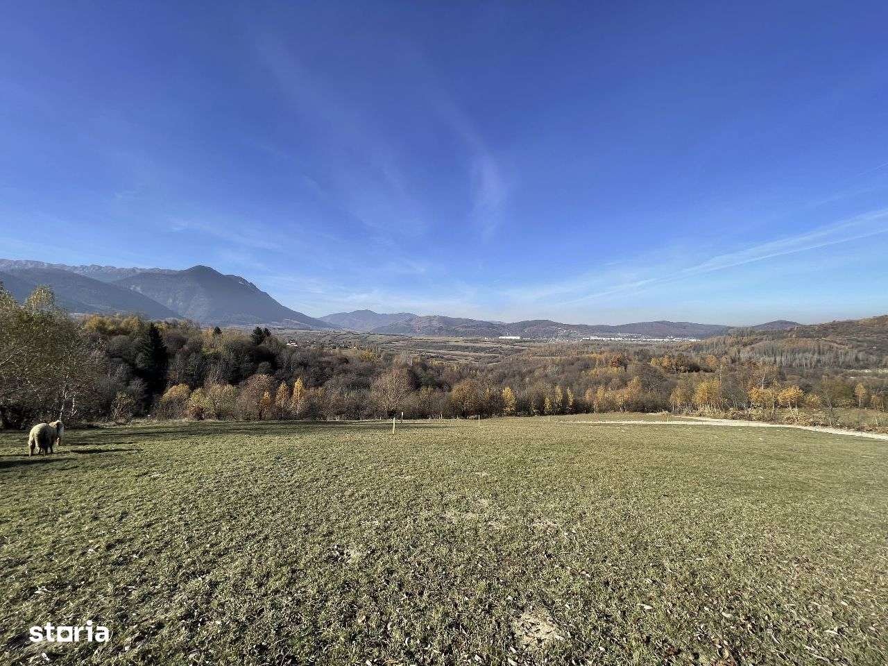 Teren intravilan 500 mp in Zarnesti-Tohanita la 5 km de Plaiul Foii-10