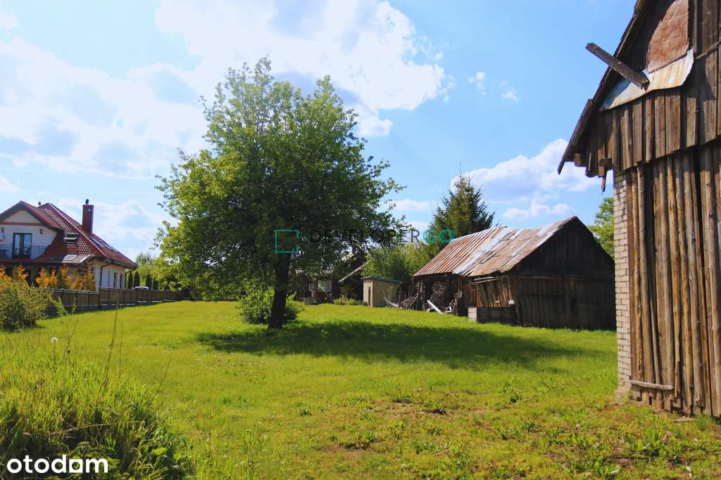 Siedlisko w Puszczy Białowieskiej z 2,8ha gruntu-13