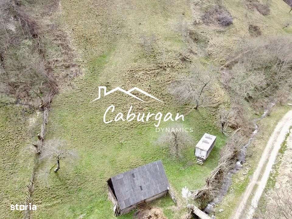 Teren intravilan + faneata, ideal pentru investitie - Rau Sadului-4