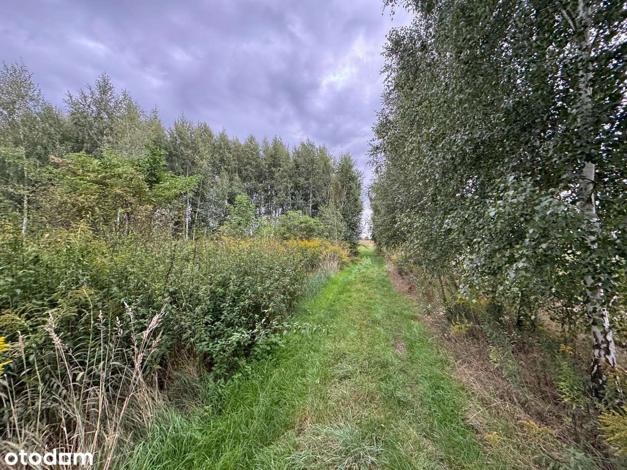 Dachowa | Dwie działki budowlane, łacznie  1552 m² z MPZP-14