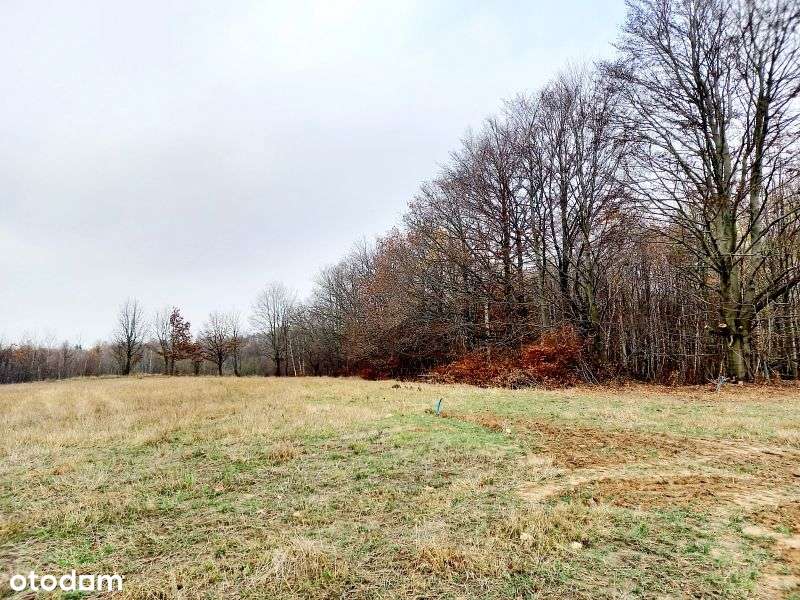 Działka budowlana z Mpzp w okolicy Kolbud. - Pełny obrazek: 4/8