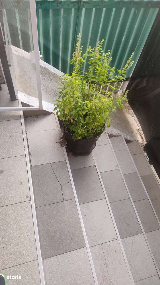 Ap, 52 mp, dec , spațiu com. Constanța, 83000 mii-7