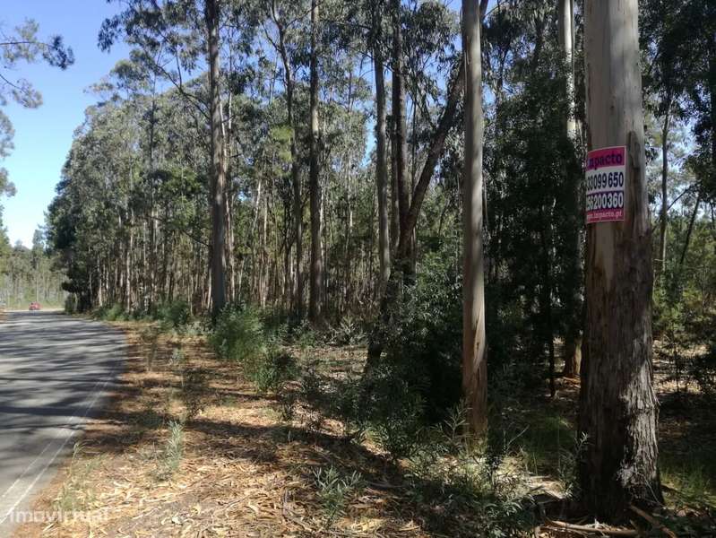 Terreno Rústico em Avanca, Aveiro - Grande imagem: 5/6