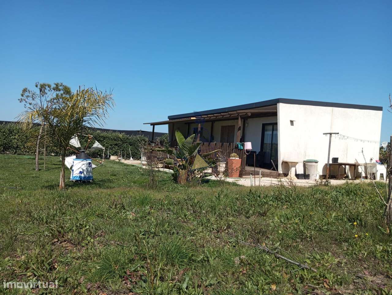 Empresa agrícola com 12 hectares com comercio  internacional reconheci - Grande imagem: 4/40