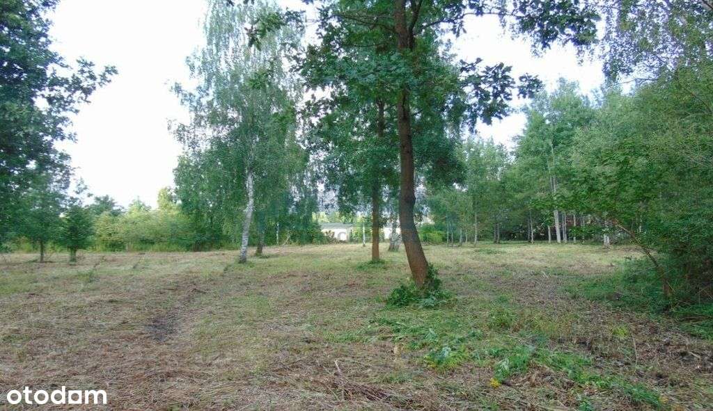 Posiadłość na granicy Konstancina - Pełny obrazek: 4/11