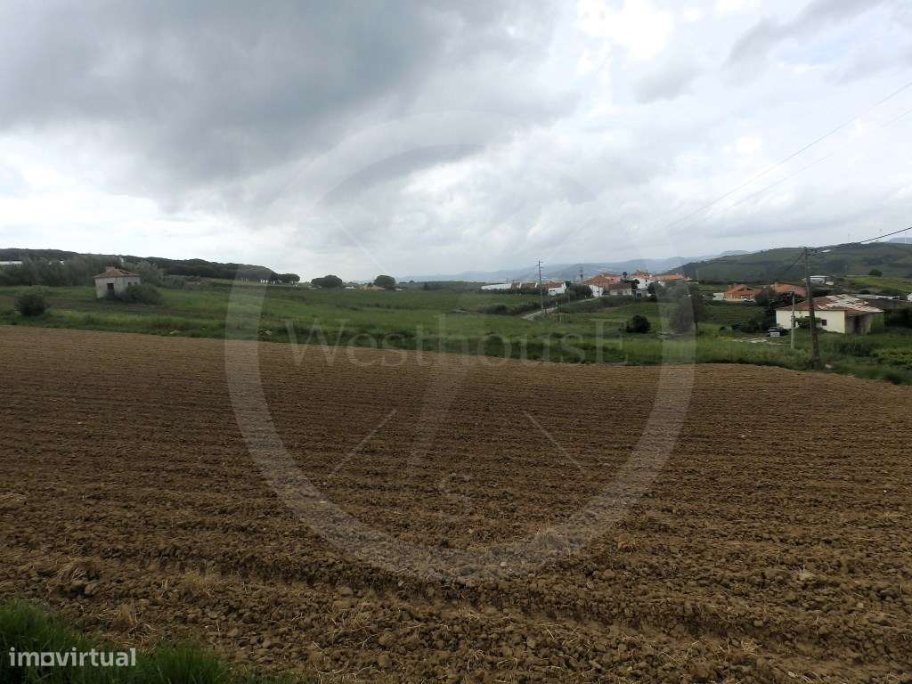 Terreno rústico com 5.129m2 no Varatojo, Torres Vedras, com grande ...-9