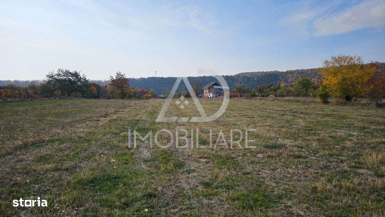 Teren intravilan – Crasna, Gorj - Imagine principală: 2/6