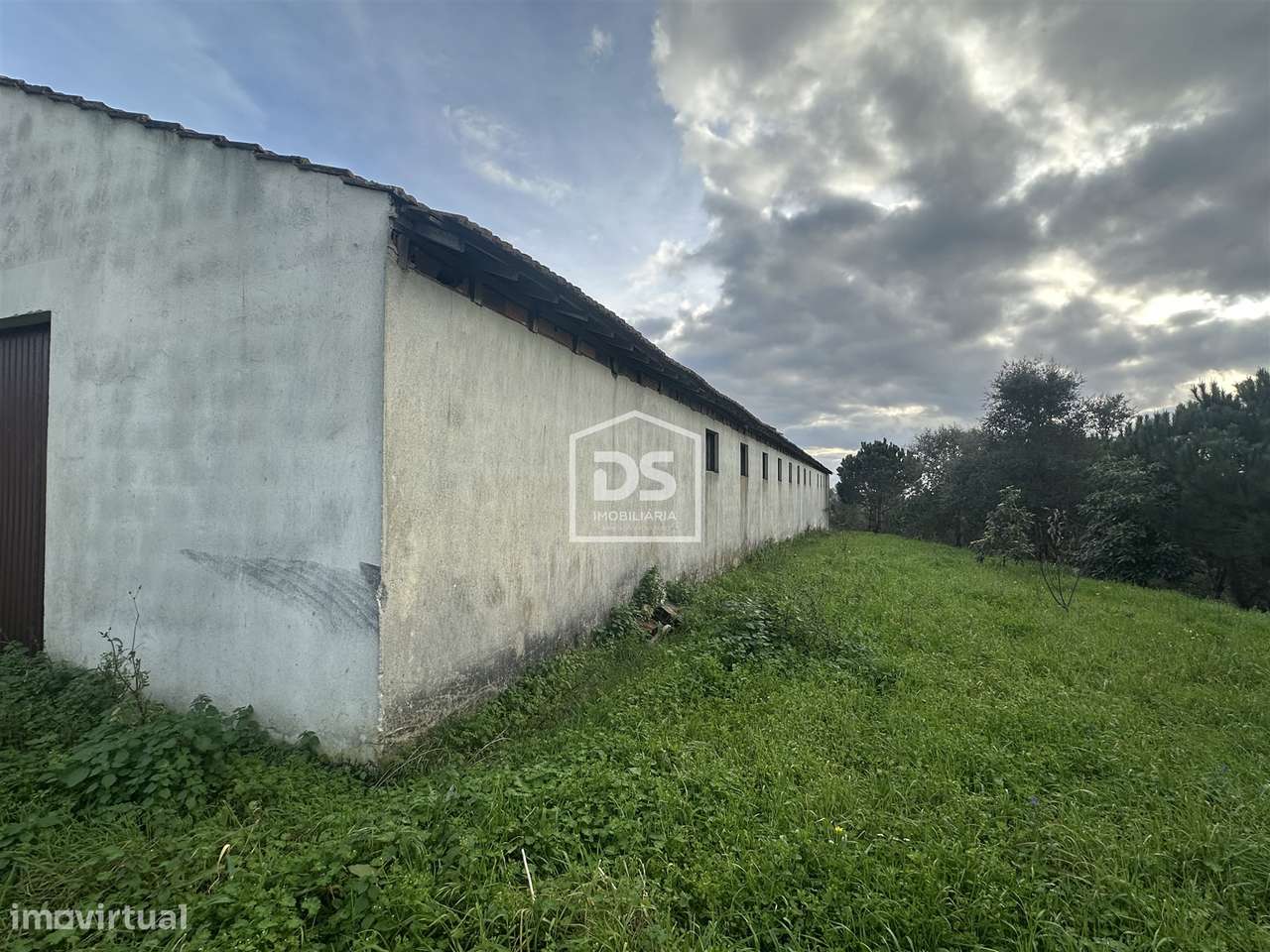 Terreno Misto  Venda em Colmeias e Memória,Leiria - Grande imagem: 4/19