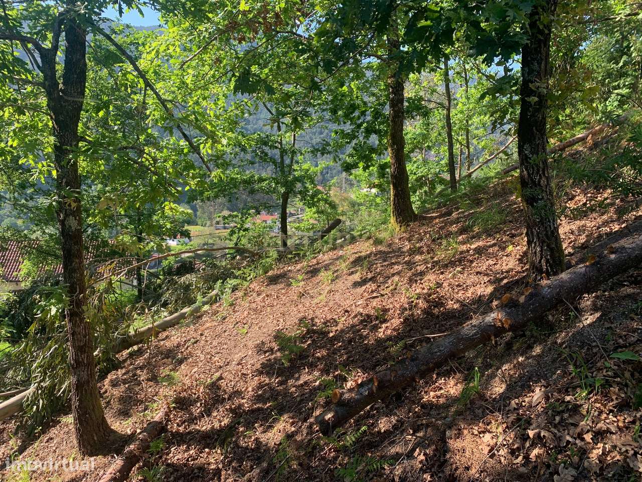 Terreno para Construção com 1000,2 m² na Vila do Gerês – Vilar da Veig - Grande imagem: 2/28