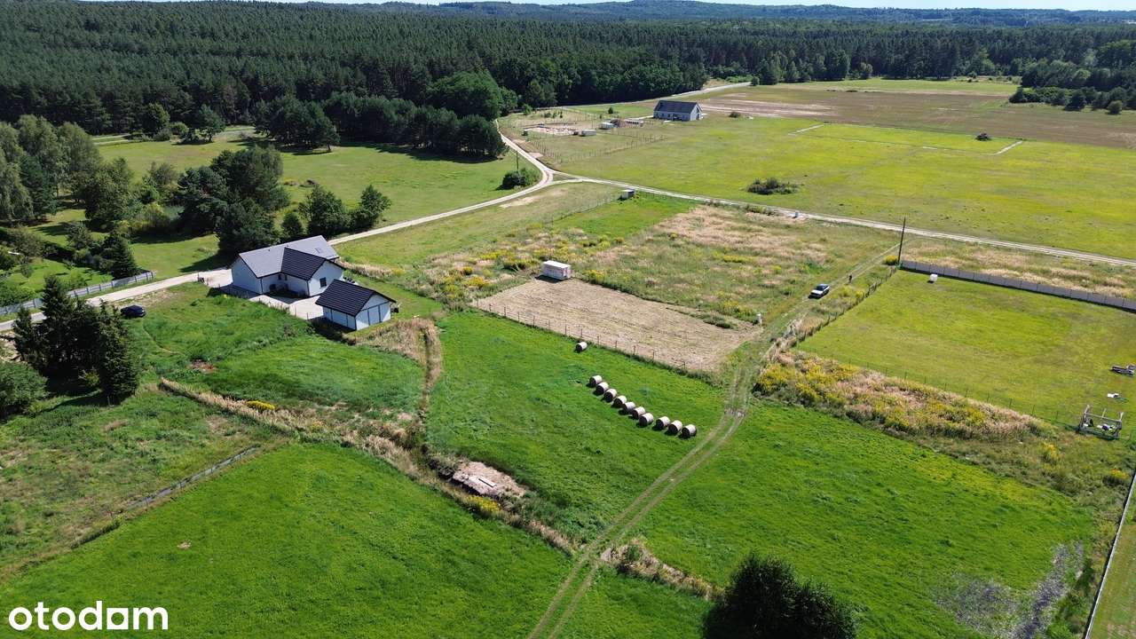 DZIAŁKA  Budowlana 11,04 AR – KASZOWO, GMINA MILICZ – LAS DOlina Baryc-4